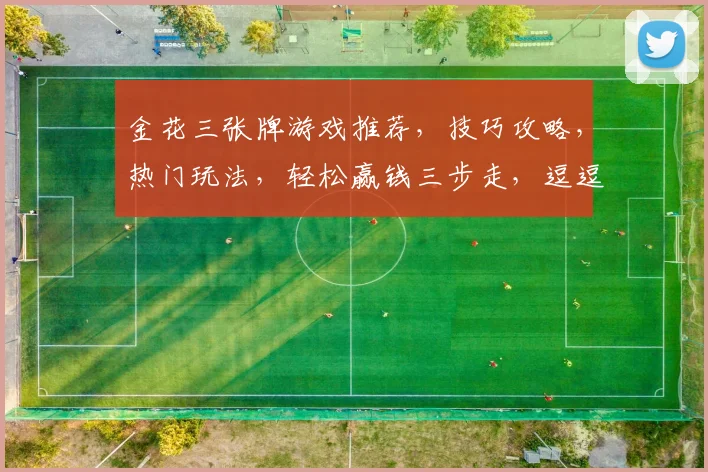 金花三张牌游戏推荐，技巧攻略，热门玩法，轻松赢钱三步走，逗逗乐