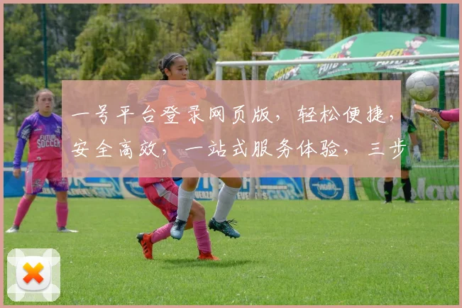 一号平台登录网页版，轻松便捷，安全高效，一站式服务体验，三步快速登录，畅享无忧