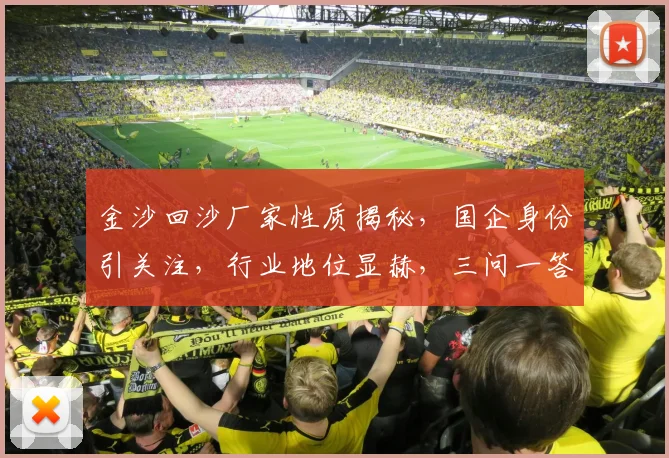金沙回沙厂家性质揭秘，国企身份引关注，行业地位显赫，三问一答揭晓谜底