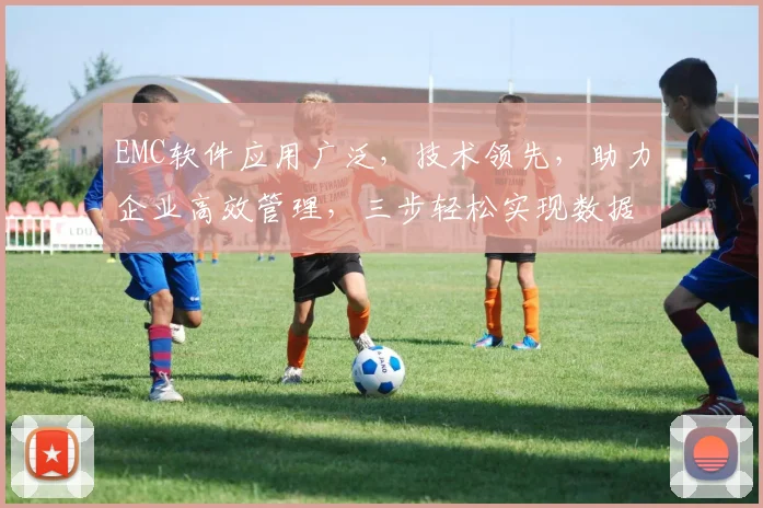 EMC软件应用广泛，技术领先，助力企业高效管理，三步轻松实现数据安全备份，优化企业信息处理。