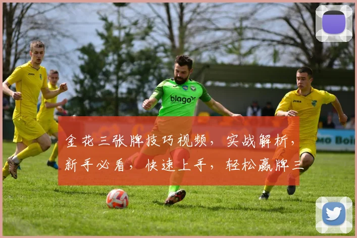 金花三张牌技巧视频，实战解析，新手必看，快速上手，轻松赢牌三招