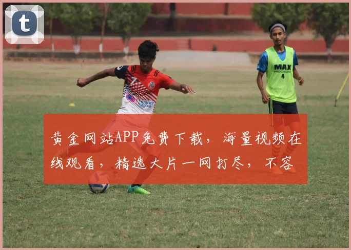 黄金网站APP免费下载，海量视频在线观看，精选大片一网打尽，不容错过